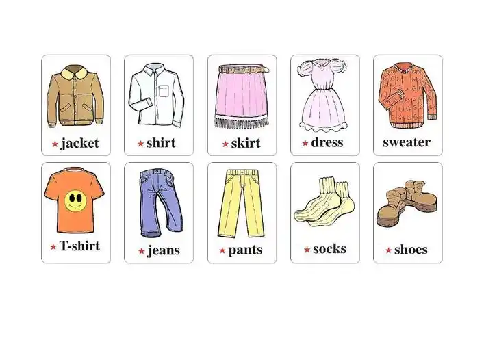 pep小学英语单词卡片四年级下册