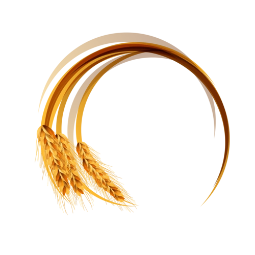 麦穗logo图片