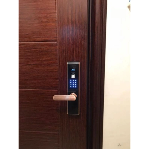 小家丁指纹锁家用防盗门入户门密码卡门锁电子锁app联网智能锁t6