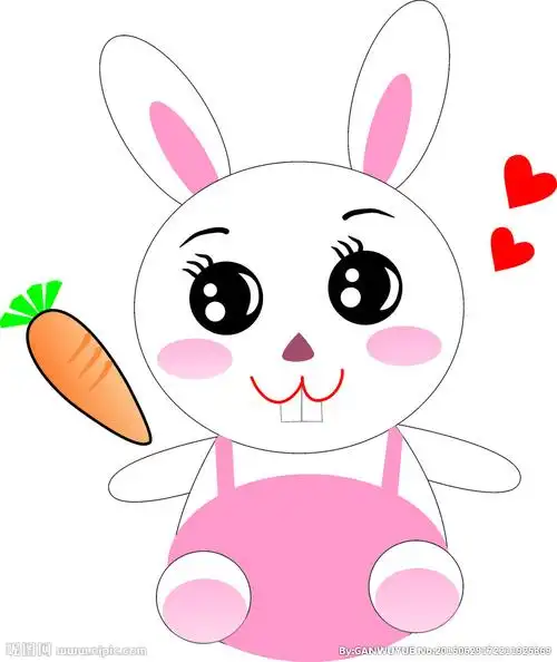 十四周视频点评总结