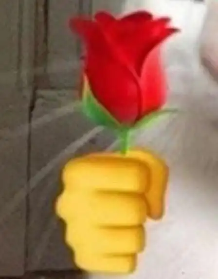 哪位大佬有手握玫瑰花的表情包?
