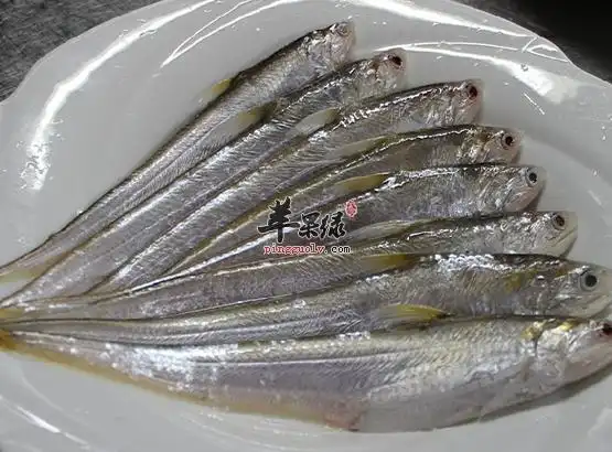 鲚鱼是什么鱼 怎么做好吃呢
