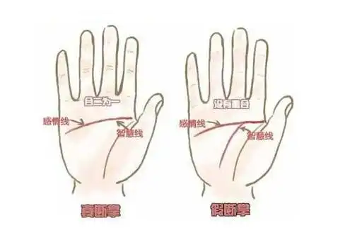 手相图解"断掌"纹,命硬还是手握千金