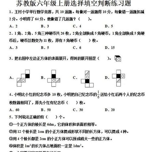 苏教版小学六年级数学上下册选择填空判断练习题专项练习本有答案