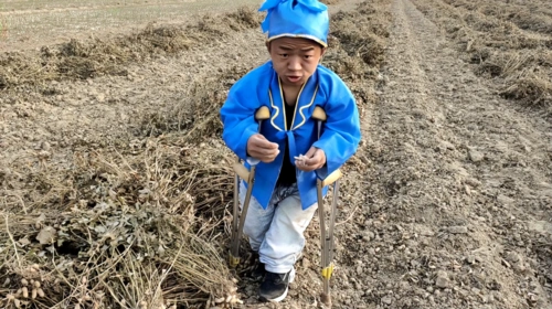 原创 小松的农村生活 2020.11.