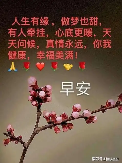 原创7月19日星期一早上好问候祝福动态表情图片大全夏季最新早上好