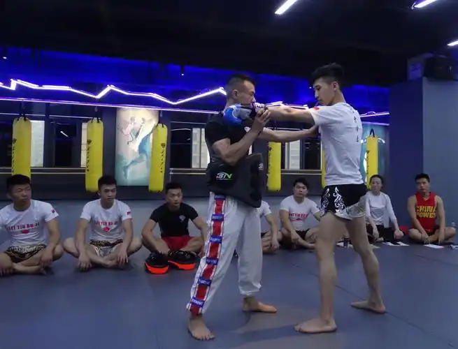 2019年wkf中国区官方自由搏击教练员绍兴站培训班