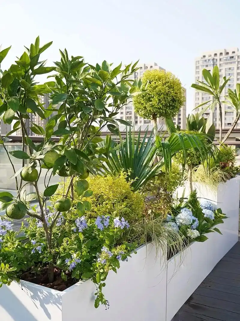 阳台花箱绿化美陈布置案例,可根据空间尺寸来定制#花箱 #阳台 - 抖音