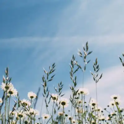 微信风景头像图片唯美 抬头 阳光依旧温暖