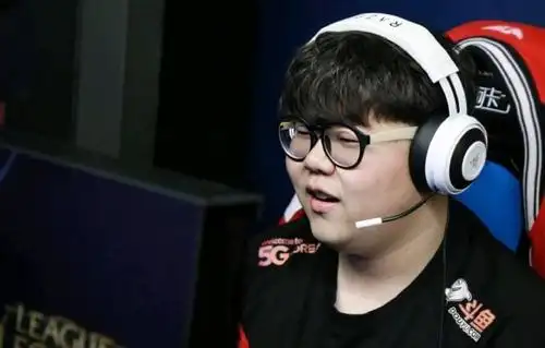 职业选手多难?skt前辅助wolf宣布退役,自曝患4种精神疾病