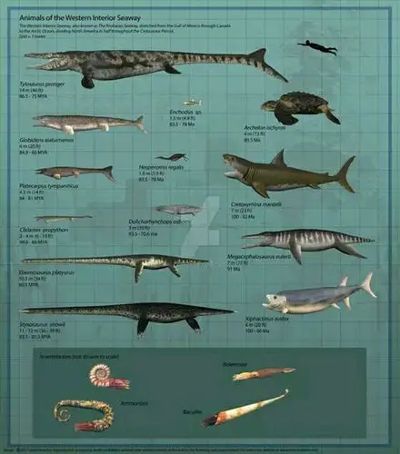逝去的海洋巨怪巨齿鲨,到底有可怕?75吨重的巨兽,一颗牙21厘米