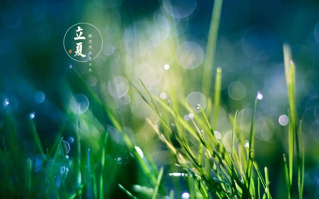 立夏二十四节气之清新主题壁纸