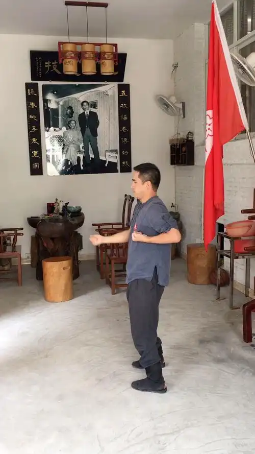 全民正能量#咏春拳中级套路-寻桥,每个动作都是一板一眼