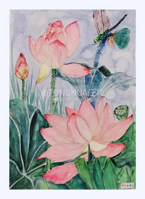 每日一画##手绘