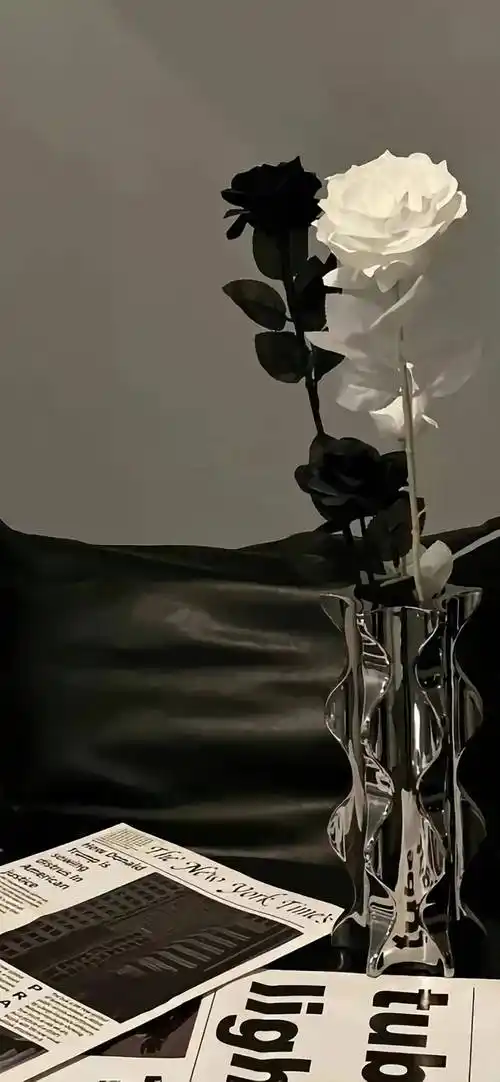 壁纸 | 4k全面屏超清壁纸