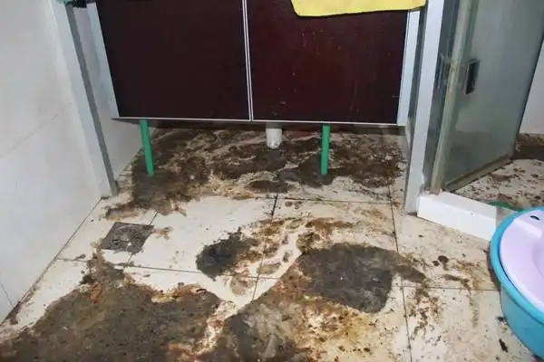 【我的天哪】阳光100业主推门惊见"屎满屋",哪冒出来的?