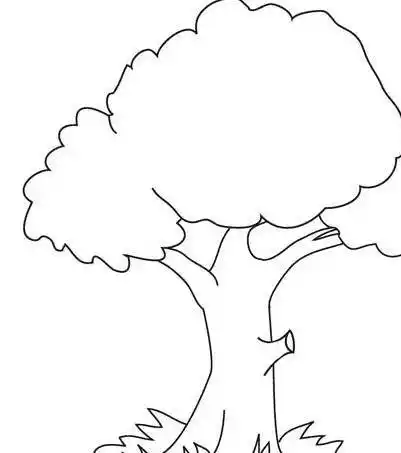 画大树的简笔画图片