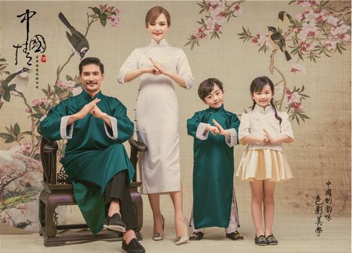 影楼主题摄影全家福民国风中国风古装写真背景花鸟拍照背景pz-544