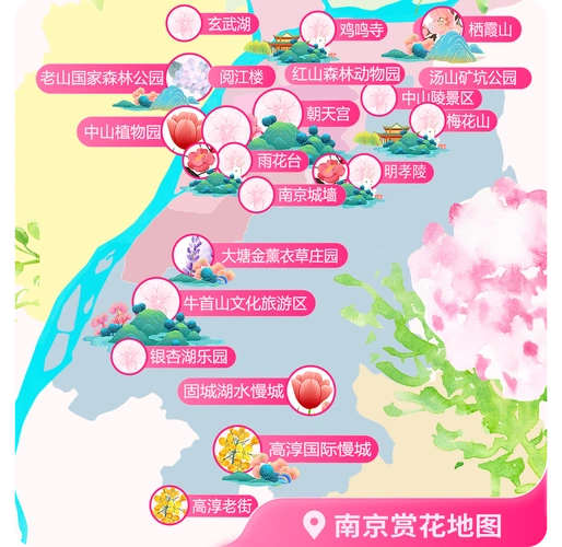 花开正好全国热门赏花地可按图索骥