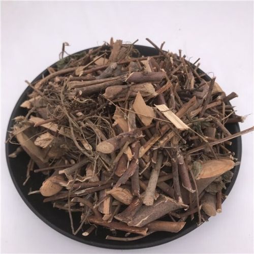 葫芦叶软枝牛乳根 琴叶榕 牛奶树 细叶牛奶树根 水松 500g 500克