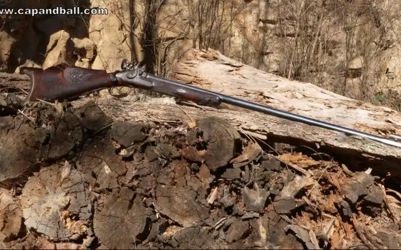 一把19世纪来自布达佩斯的前装线膛击发枪