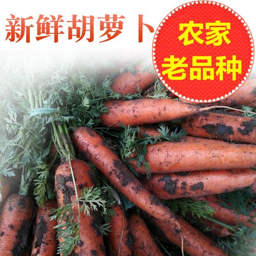 新鲜胡萝卜红萝卜农家无公害新鲜蔬菜宝宝辅食小人参5斤装