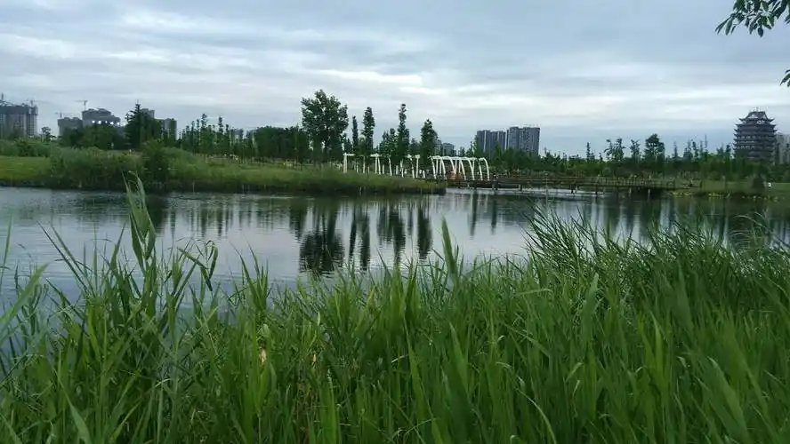 眉山湿地公园,眉山湿地公园简介