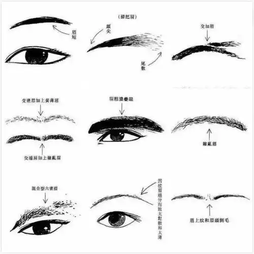 相术:民间相士实用诀法又一波_眉毛