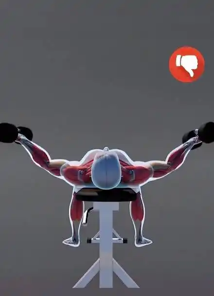 哑铃飞鸟的一个常见错误,动作过程想象在饱一棵树吧.