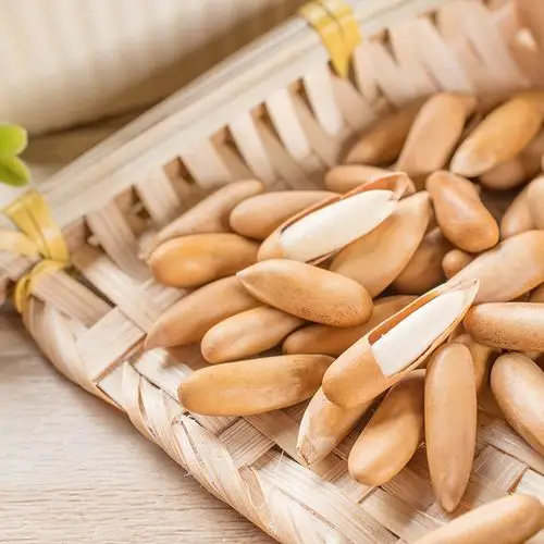 手剥巴西松子含罐500g新货颗粒坚果干果零食松子