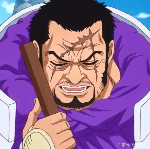 海贼王中藤虎是什么样的人