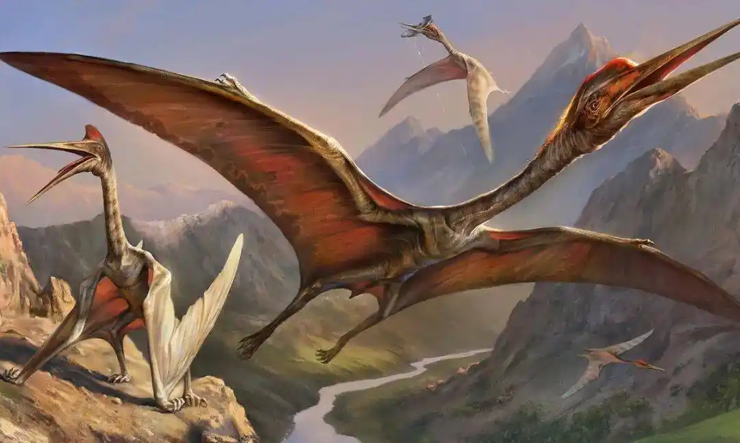 翼龙最早会飞的脊椎动物