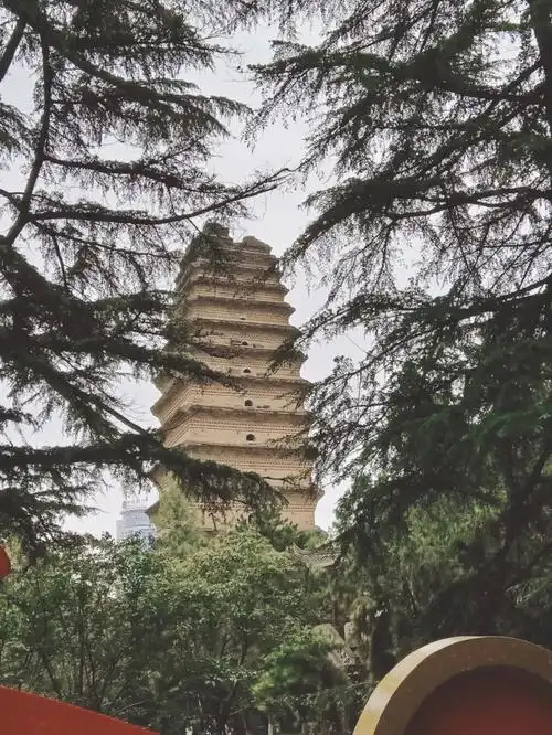 西安博物院小雁塔