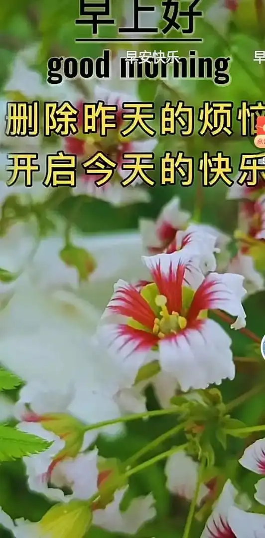 清新唯美, 开启今天的快乐 早女 早上好 删除昨天的烦恼 新 - 抖音