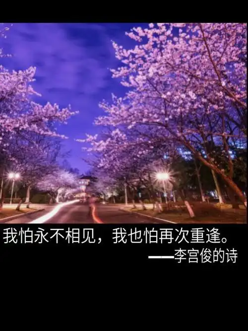 我怕永不相见,我也怕再次重逢——《李宫俊的诗》