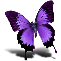 这种蝴蝶存在吗