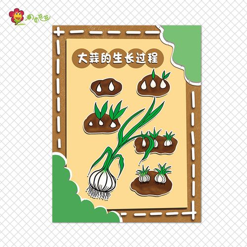 冬季种植幼儿园我认识大蒜植物角主题墙环创成长记劳动最光荣贴画