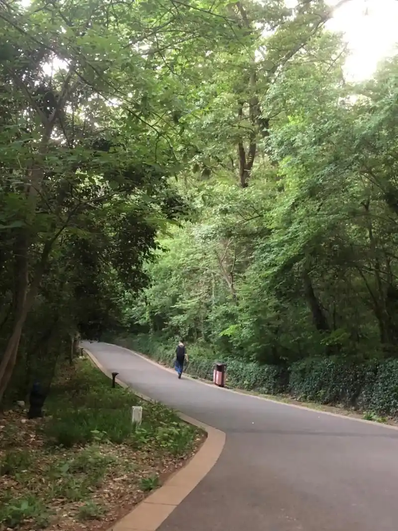 大蜀山国家森林公园导览图guidemapof dashush - 抖音