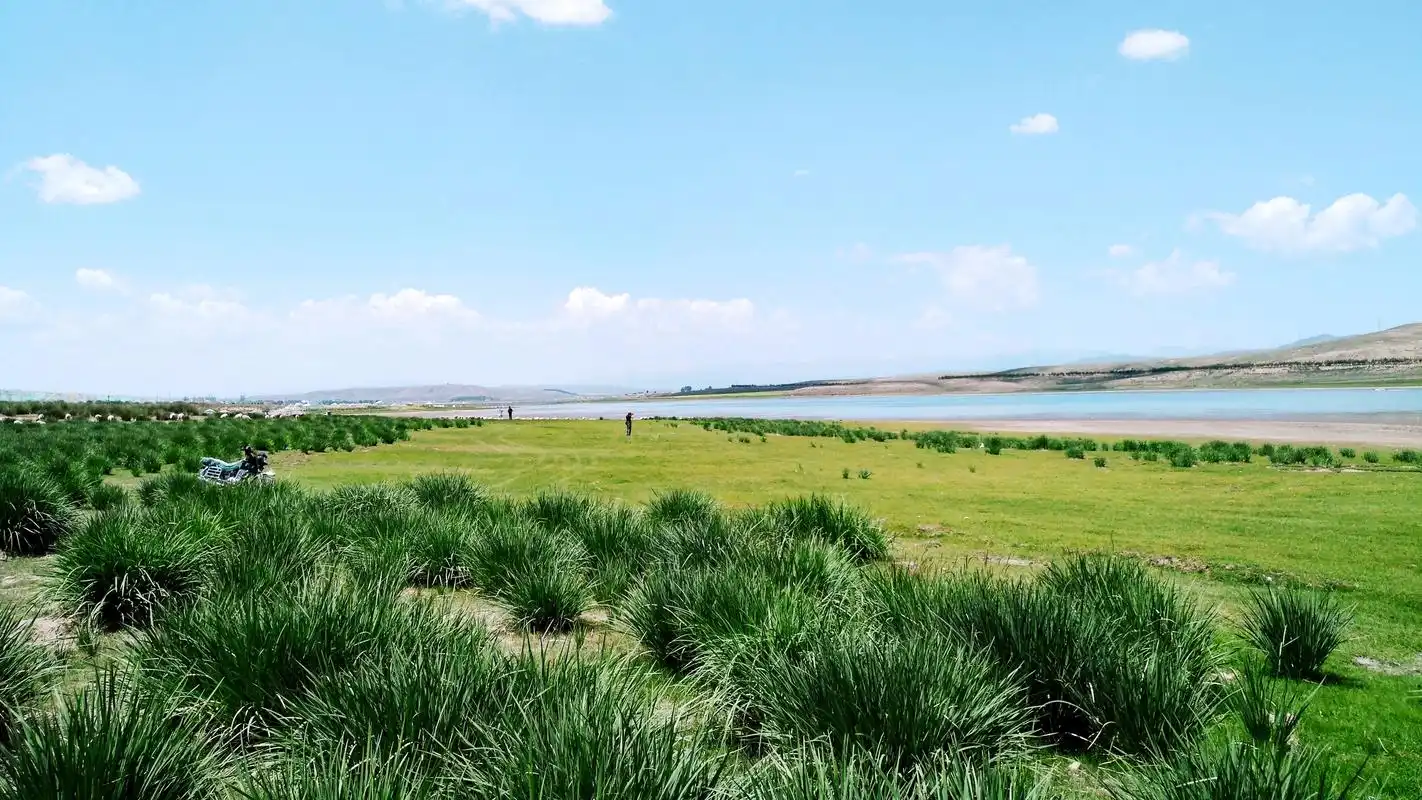 金银滩草原,沿途风光,优美如画
