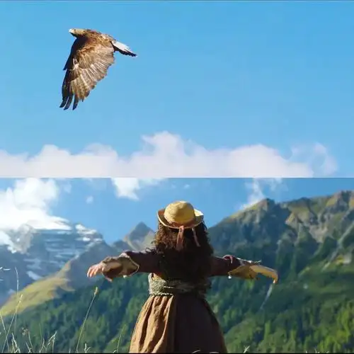 关于教育,从电影《海蒂与爷爷》中得到什么启示?