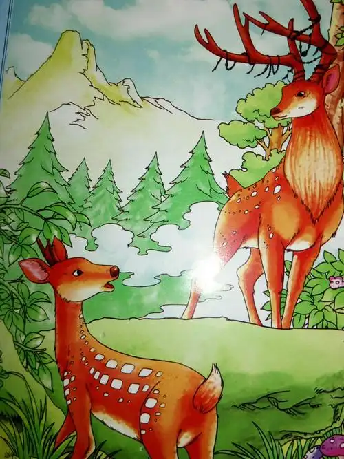 《小鹿斑比》第三十七篇分享