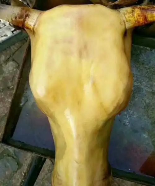 牛头去毛黄牛头整只可带牛舌生鲜烧烤卤牛头食材艾黎迪尚50斤左右