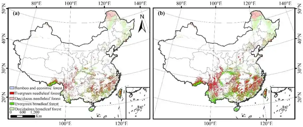 图1  中国森林类型的空间分布:(左)1980年;(右)2015年