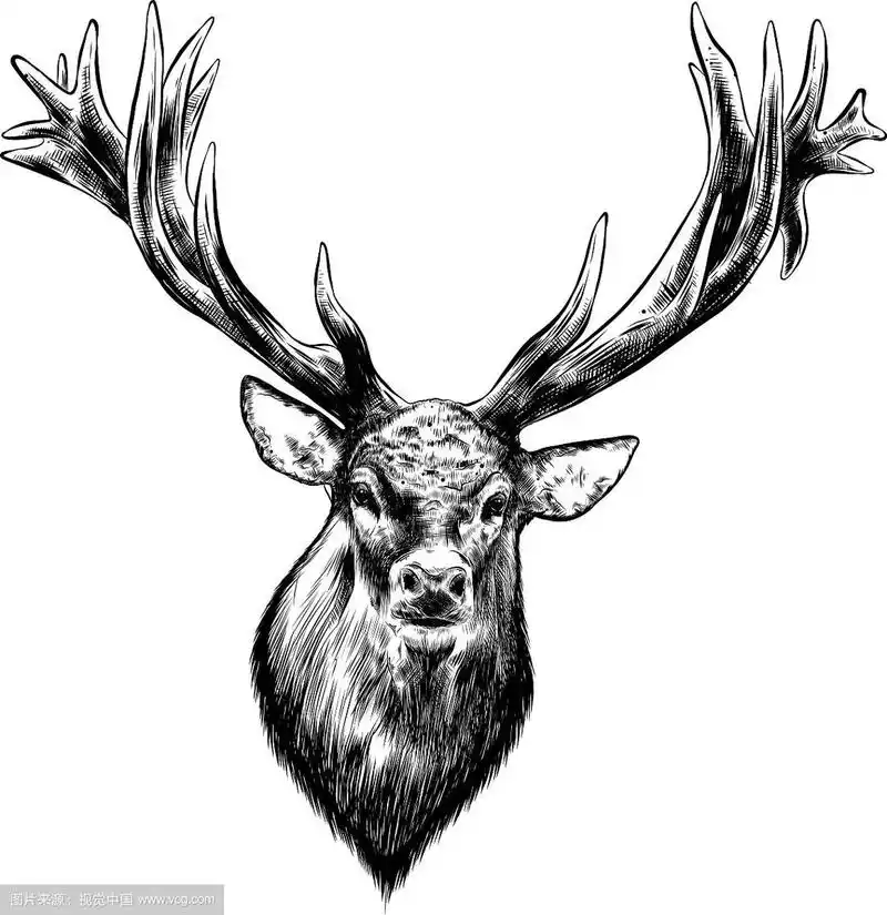 手绘的小鹿在黑色孤立上