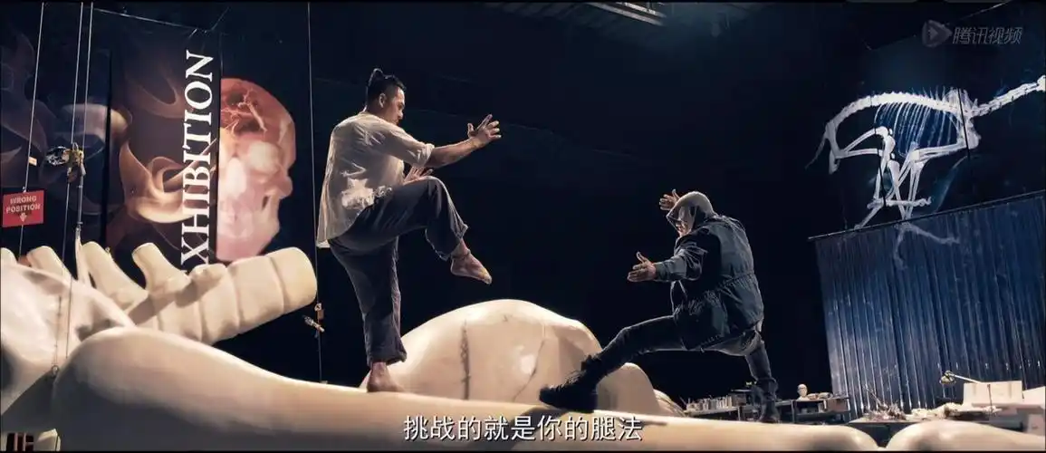 武林向来有"南拳北腿"之说,讲的是南北拳术重点的差别,南方重拳,北方