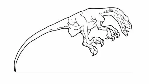 怎么画迅猛龙