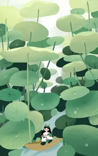 夏天荷叶插画,夏至酷暑的清凉