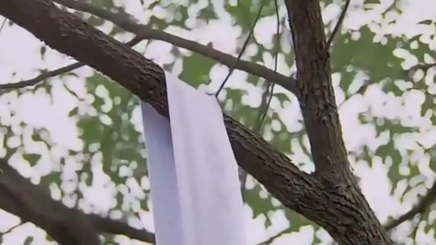 白绫,正要上吊也是专门的太监把名单上的人聚集在一起,集体赐白绫上吊