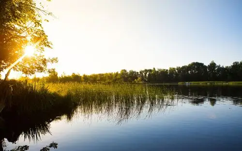 早晨太阳,湖,芦苇,船,渔民 壁纸
