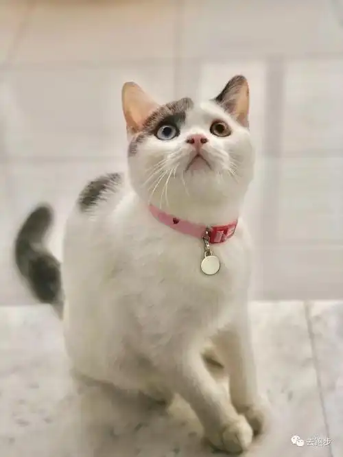 体育 正文 霍莉每当心情不好的时候就会搭上出租车来到市中心的蒂凡尼